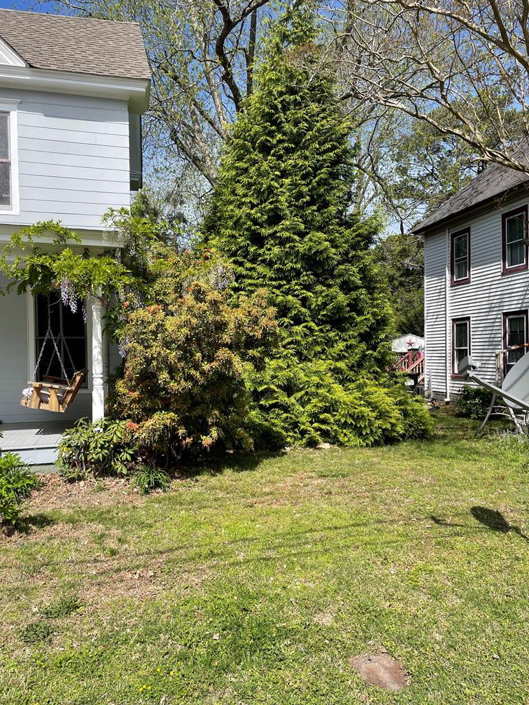 12 Justis St, Onancock, Virginia image 34
