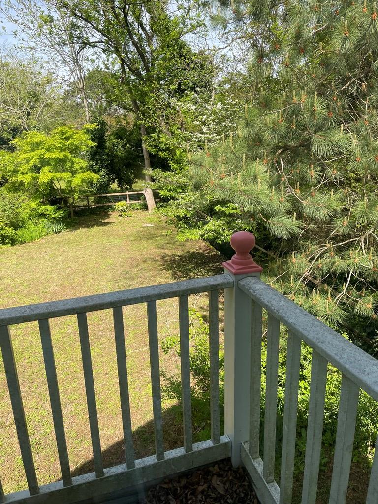 12 Justis St, Onancock, Virginia image 31