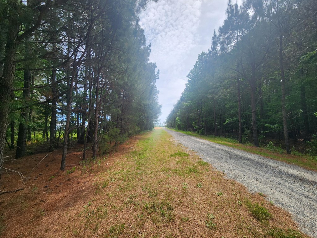 A2 Atlantic Rd #A2, Atlantic, Virginia image 5