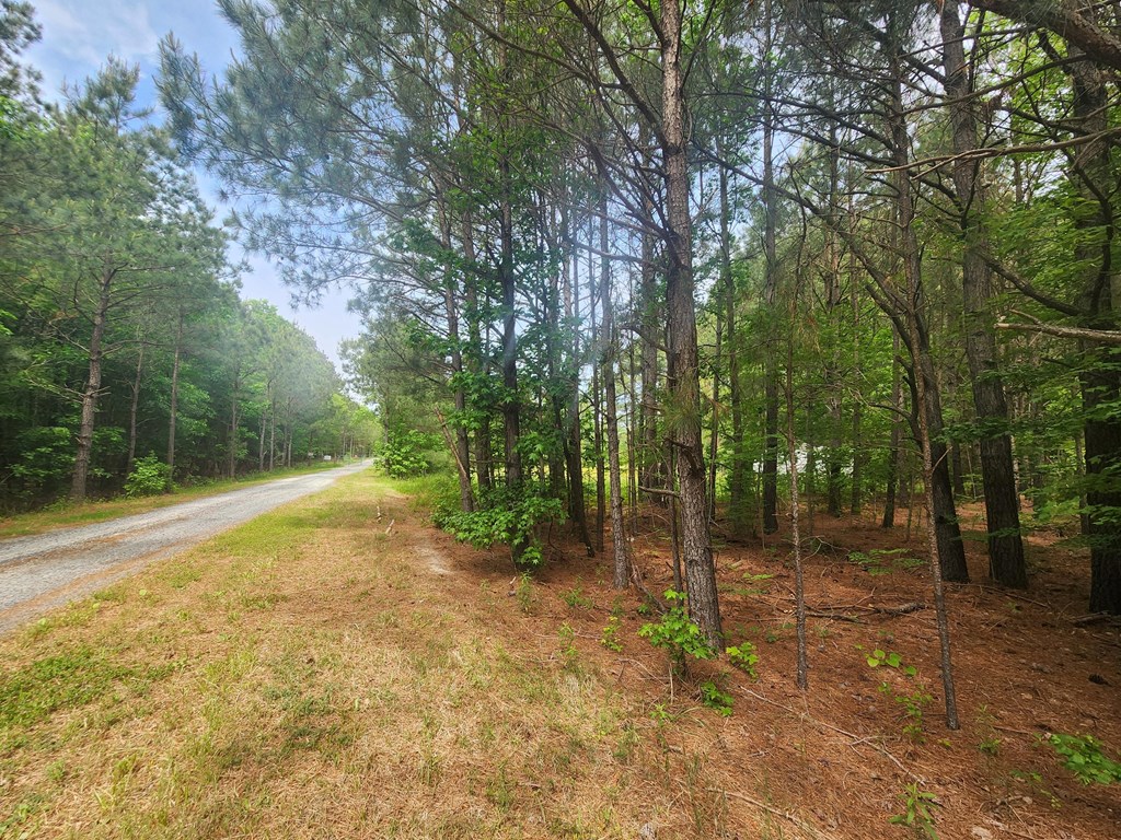 A2 Atlantic Rd #A2, Atlantic, Virginia image 4