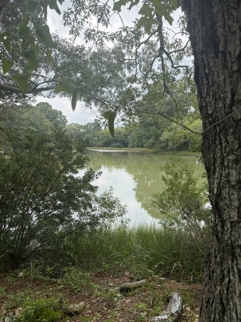 Vacant Land For Sale - 22 Clearview Way #22<br/> Exmore, VA 23350
