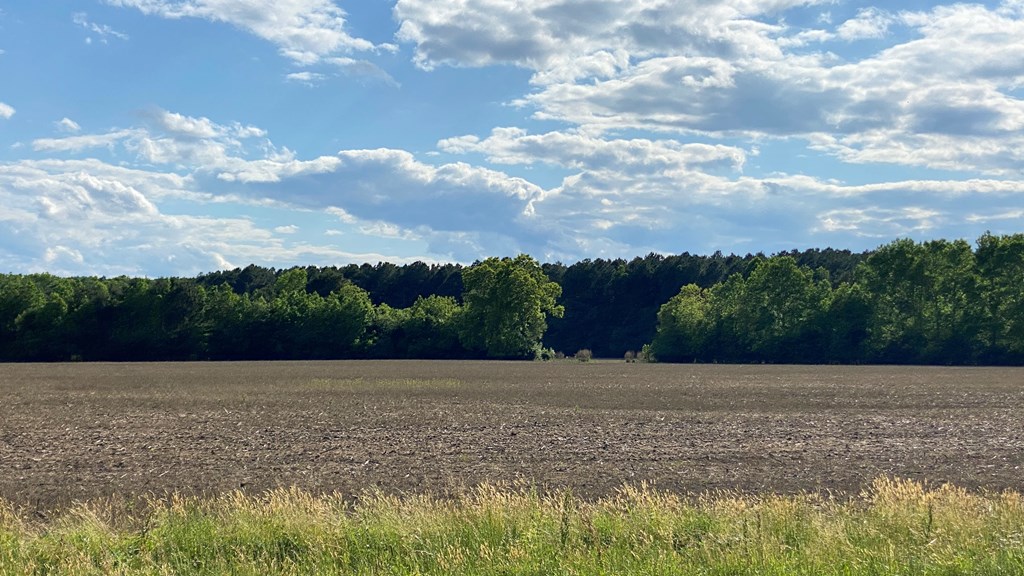 Airport Rd #1-24, Melfa, Virginia image 4