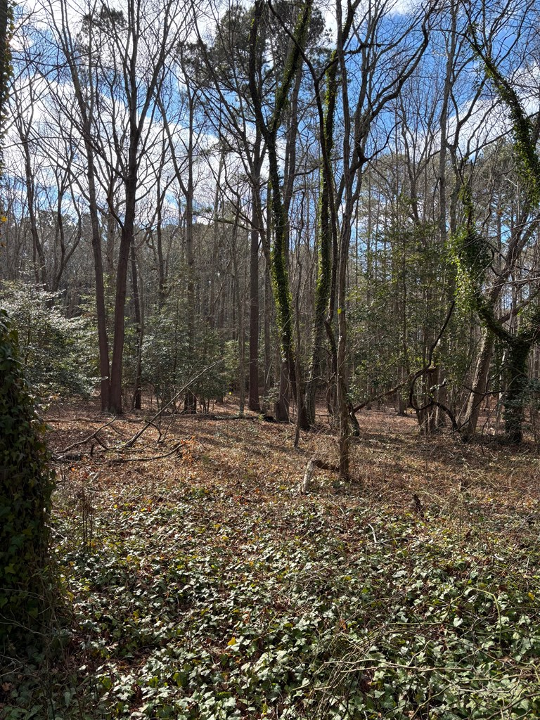 Lot 18 Saltworks Rd #18, Exmore, Virginia image 3