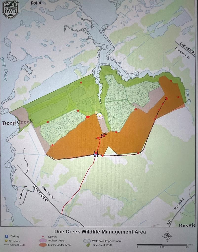 20186 Fishermans Ln, Onancock, Virginia image 4