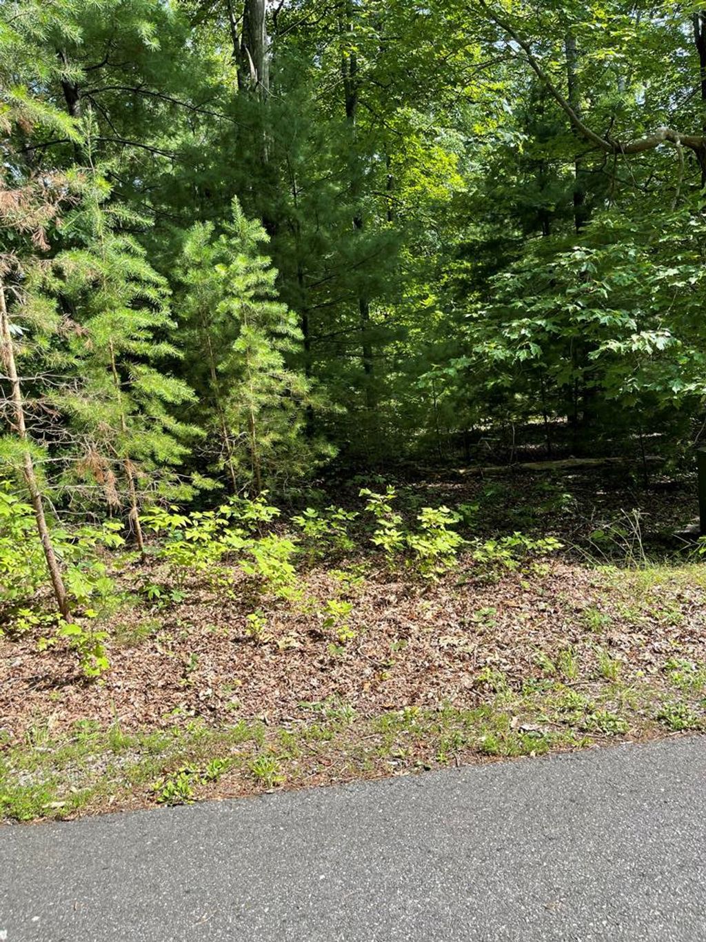 Photo of 22 Woods Haven Lane #22, Stuart, VA 24171 (MLS # 87251)