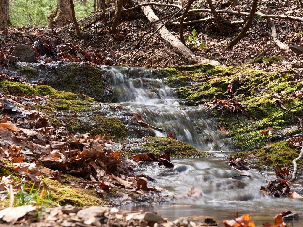 Photo of TBD North Ridge Ln #n/a, Pulaski, VA 24301 (MLS # 109338)