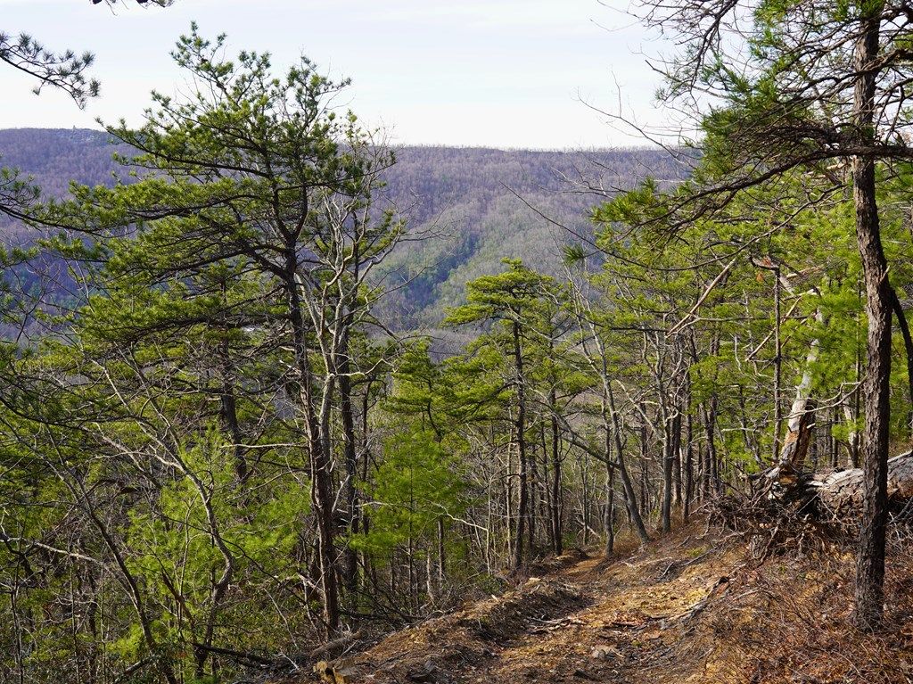 Photo of TBD North Ridge Ln #n/a, Pulaski, VA 24301 (MLS # 109338)