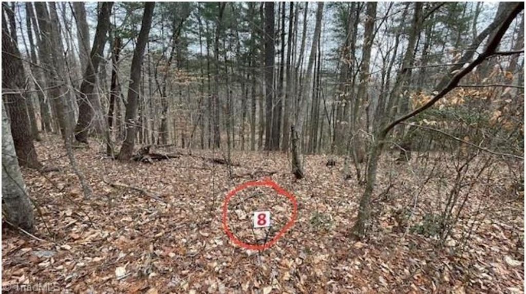 Photo of 8 Woods Haven Lane #8, Stuart, VA 24171 (MLS # 87228)