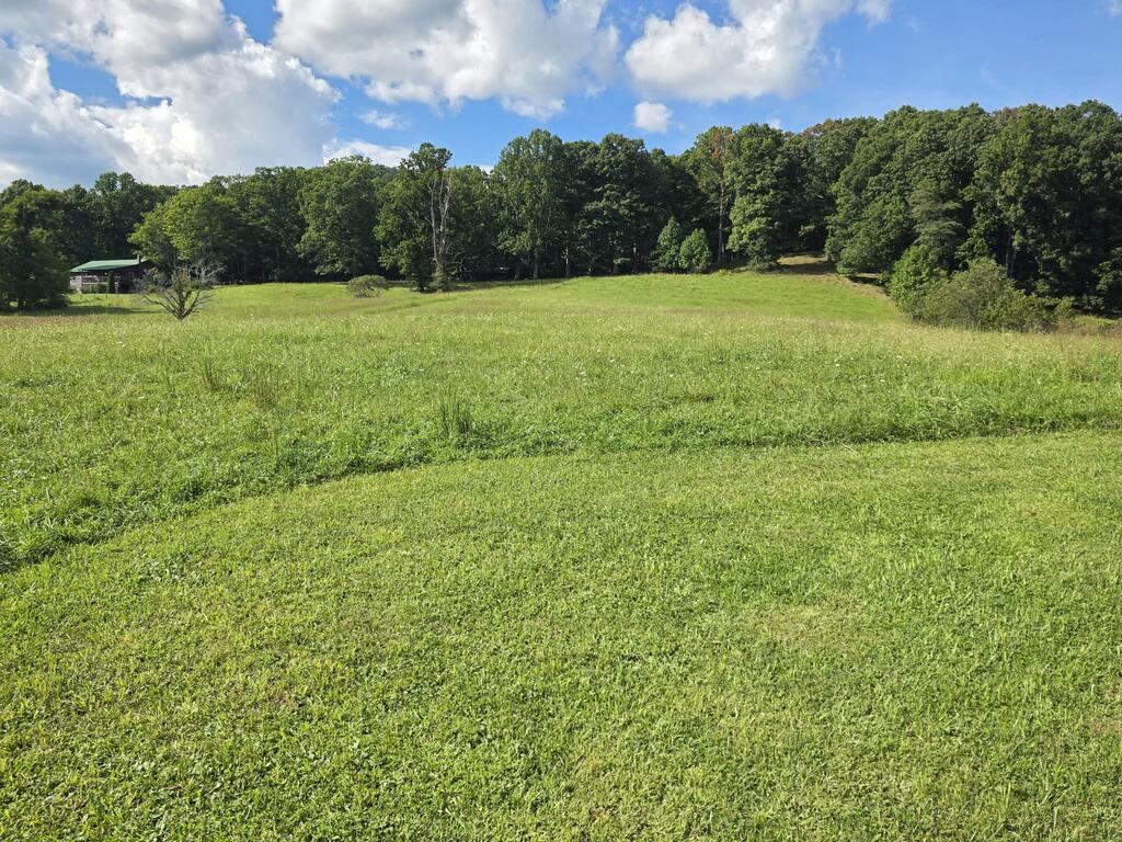 Photo of TBD Mitchell Valley Rd #0, Marion, VA 24354 (MLS # 111858)
