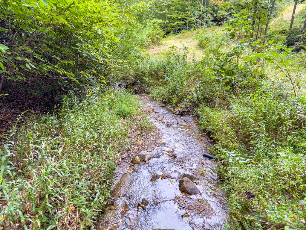 Photo of 13 Covered Bridge Trl #13, Fancy Gap, VA 24328 (MLS # 112025)