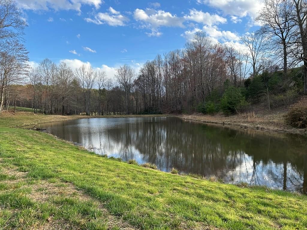 Photo of TBD Ike Slate Lane #0, Ararat, VA 24053 (MLS # 100935)