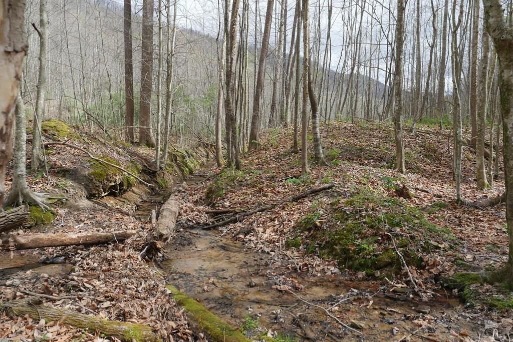 Photo of TBD Valley Spring Road #1, Rose Hill, VA 24281 (MLS # 109572)