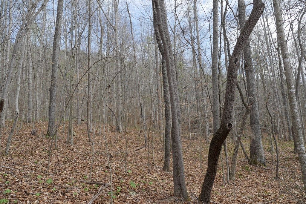 Photo of TBD Valley Spring Road #1, Rose Hill, VA 24281 (MLS # 109572)