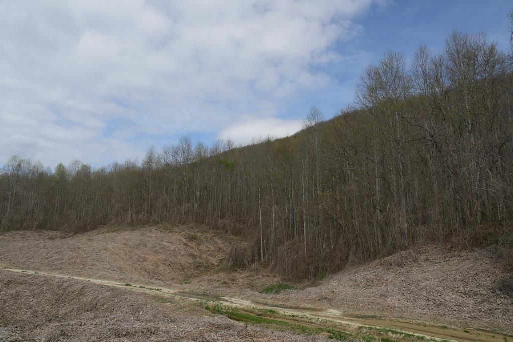 Photo of TBD Valley Spring Road #1, Rose Hill, VA 24281 (MLS # 109572)