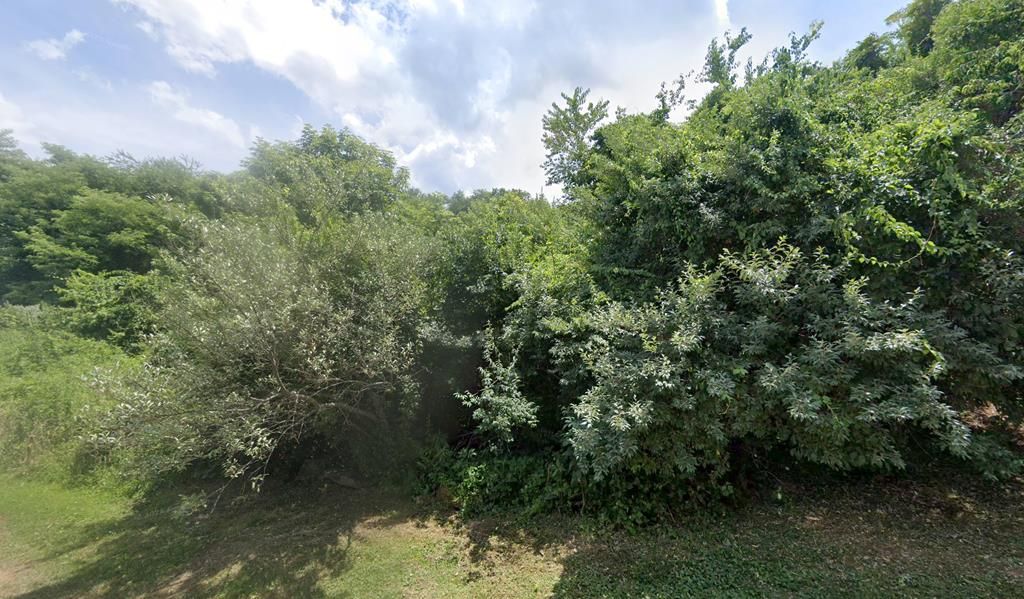 Photo of TBD Carriage Lane #NA, Bluefield, VA 24605 (MLS # 109439)