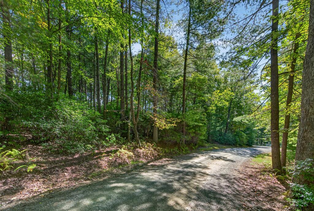 TBD Forest Green Dr