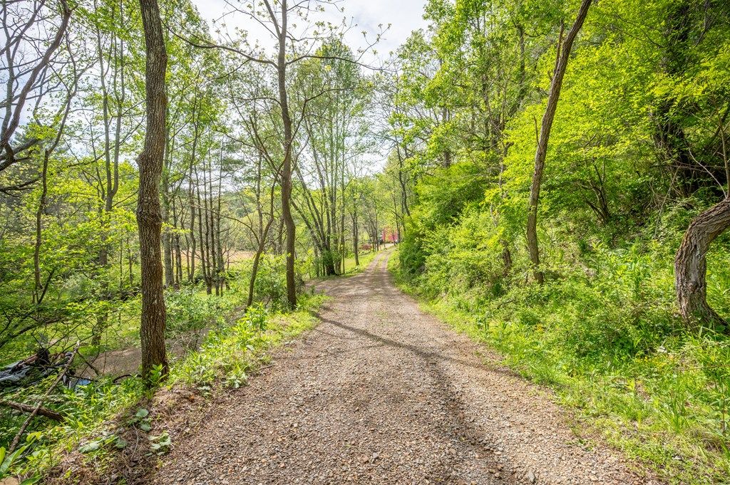 Photo of 549 Burkes Ford Rd #4, Dugspur, VA 24325 (MLS # 110182)