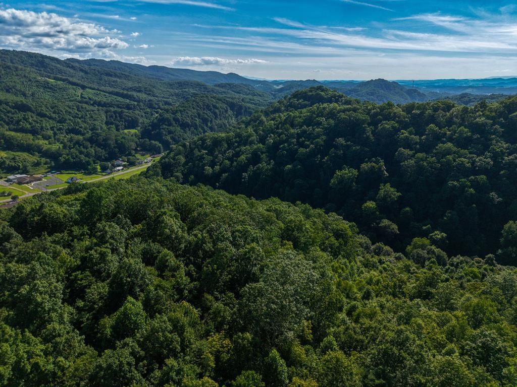 Photo of TBD Old Prater Road #n/a, Atkins, VA 24311 (MLS # 111329)