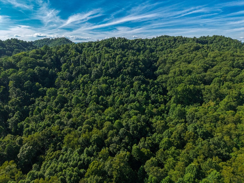 Photo of TBD Old Prater Road #n/a, Atkins, VA 24311 (MLS # 111329)