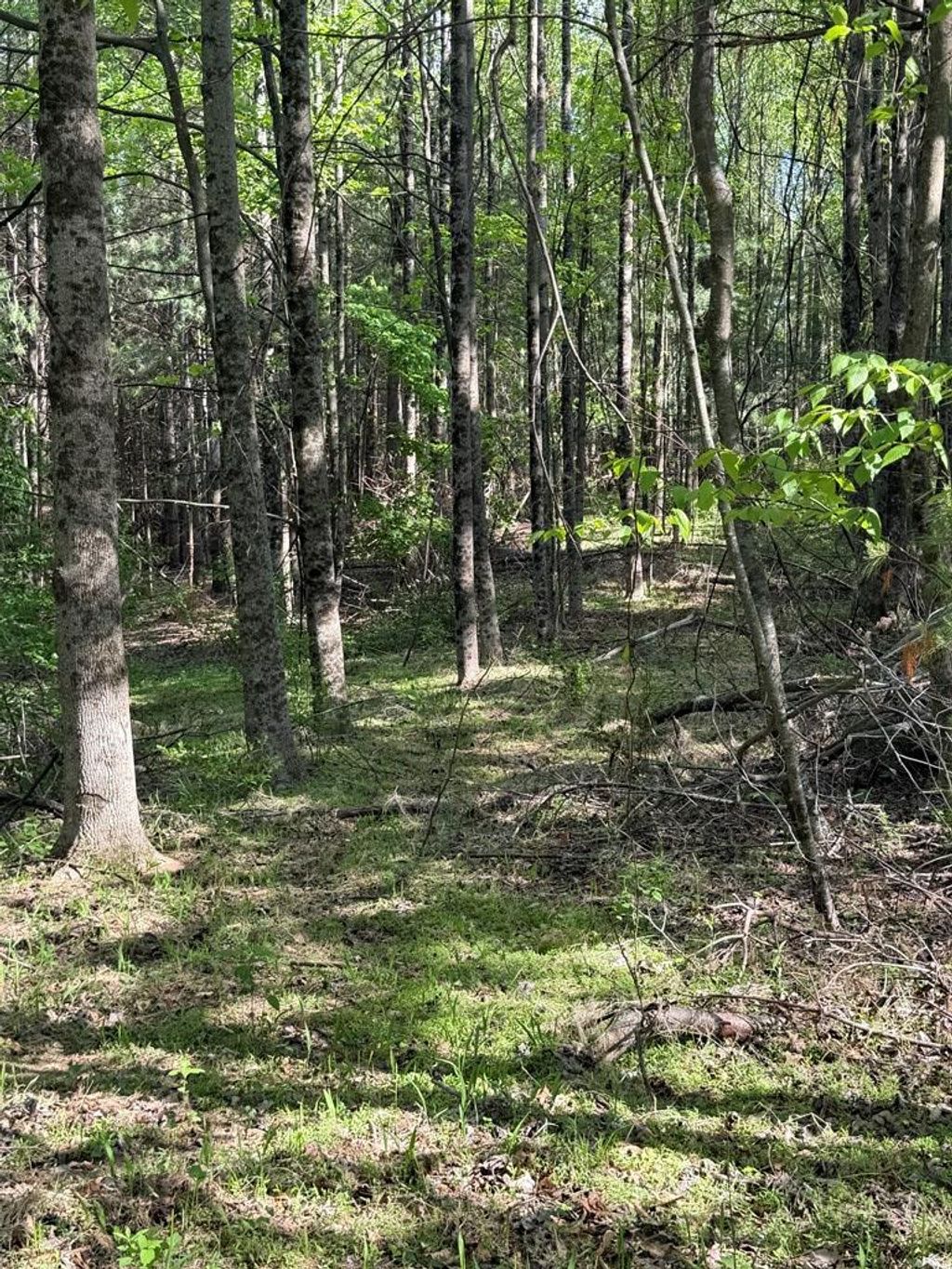 Photo of TBD Lambsburg Road #1, Galax, VA 24333 (MLS # 110272)