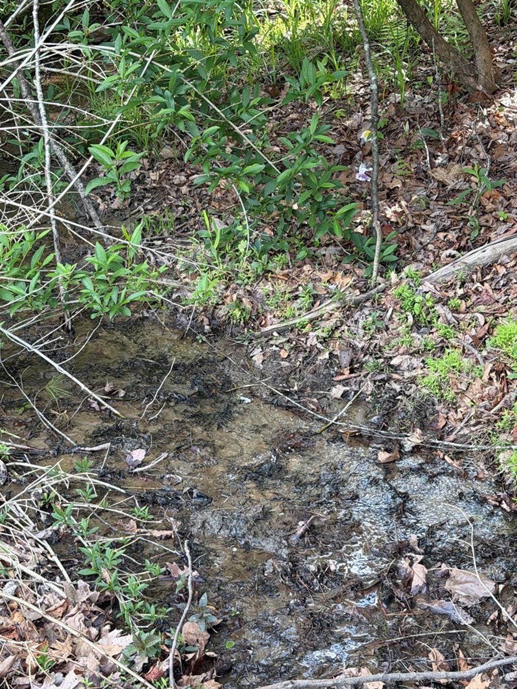 Photo of TBD Lambsburg Road #1, Galax, VA 24333 (MLS # 110272)