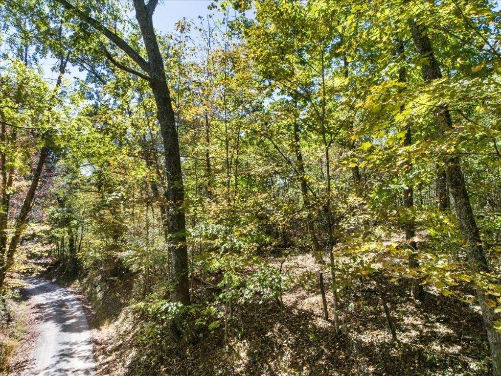 Photo of TBD Dry Branch Road #00, Pembroke, VA 24136 (MLS # 103713)