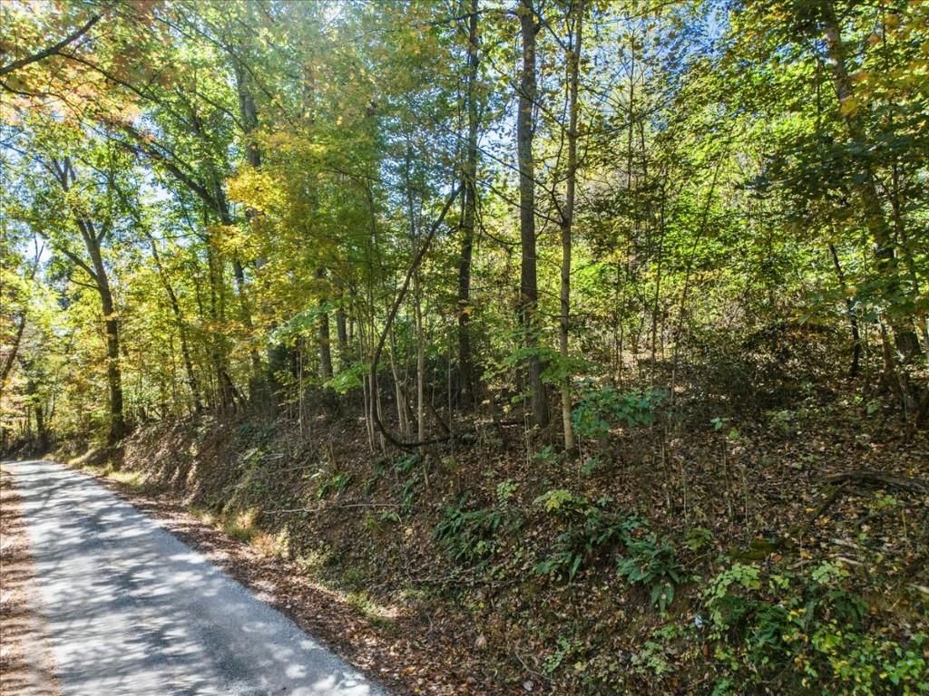 Photo of TBD Dry Branch Road #00, Pembroke, VA 24136 (MLS # 103713)