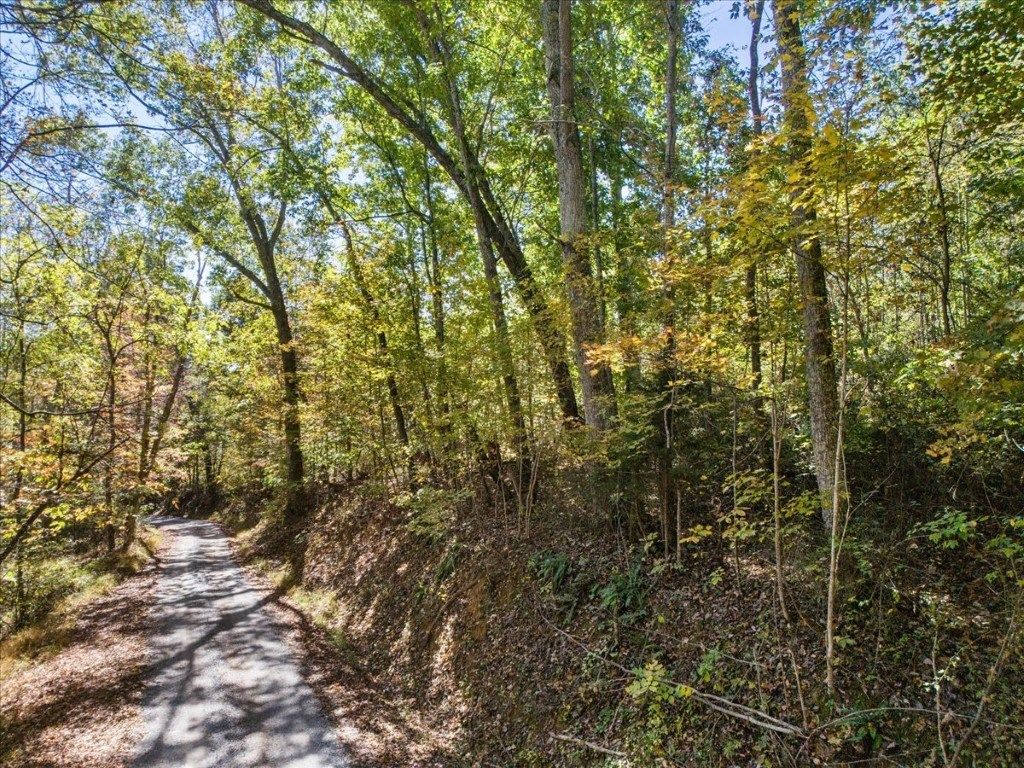 Photo of TBD Dry Branch Road #00, Pembroke, VA 24136 (MLS # 103713)
