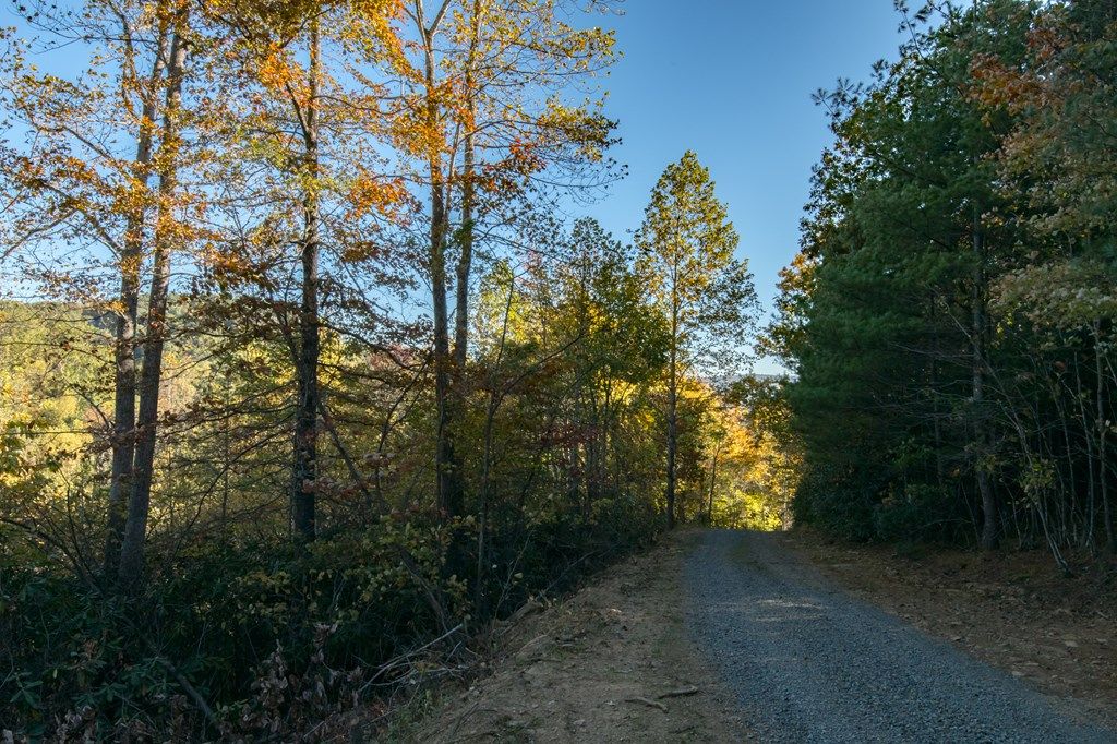 Photo of 22 Starry Nights Dr #22, Fancy Gap, VA 24328 (MLS # 103834)