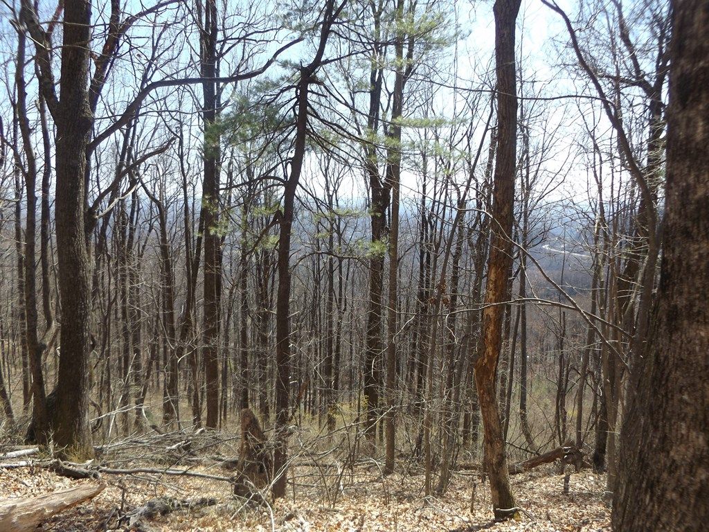 Photo of TBD Mountaineer Way #9, Fancy Gap, VA 24328 (MLS # 109147)