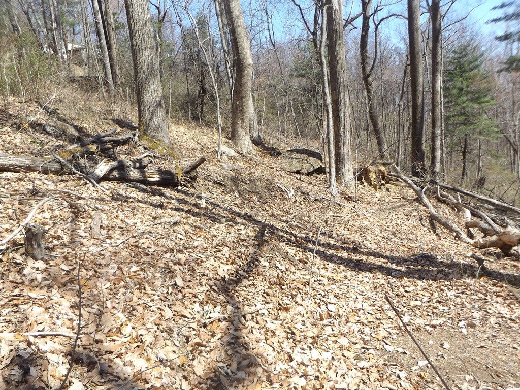 Photo of TBD Mountaineer Way #9, Fancy Gap, VA 24328 (MLS # 109147)