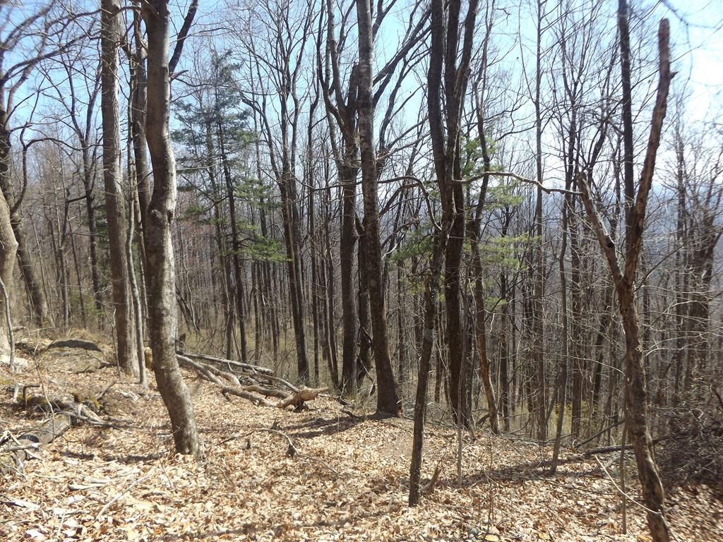 Photo of TBD Mountaineer Way #9, Fancy Gap, VA 24328 (MLS # 109147)