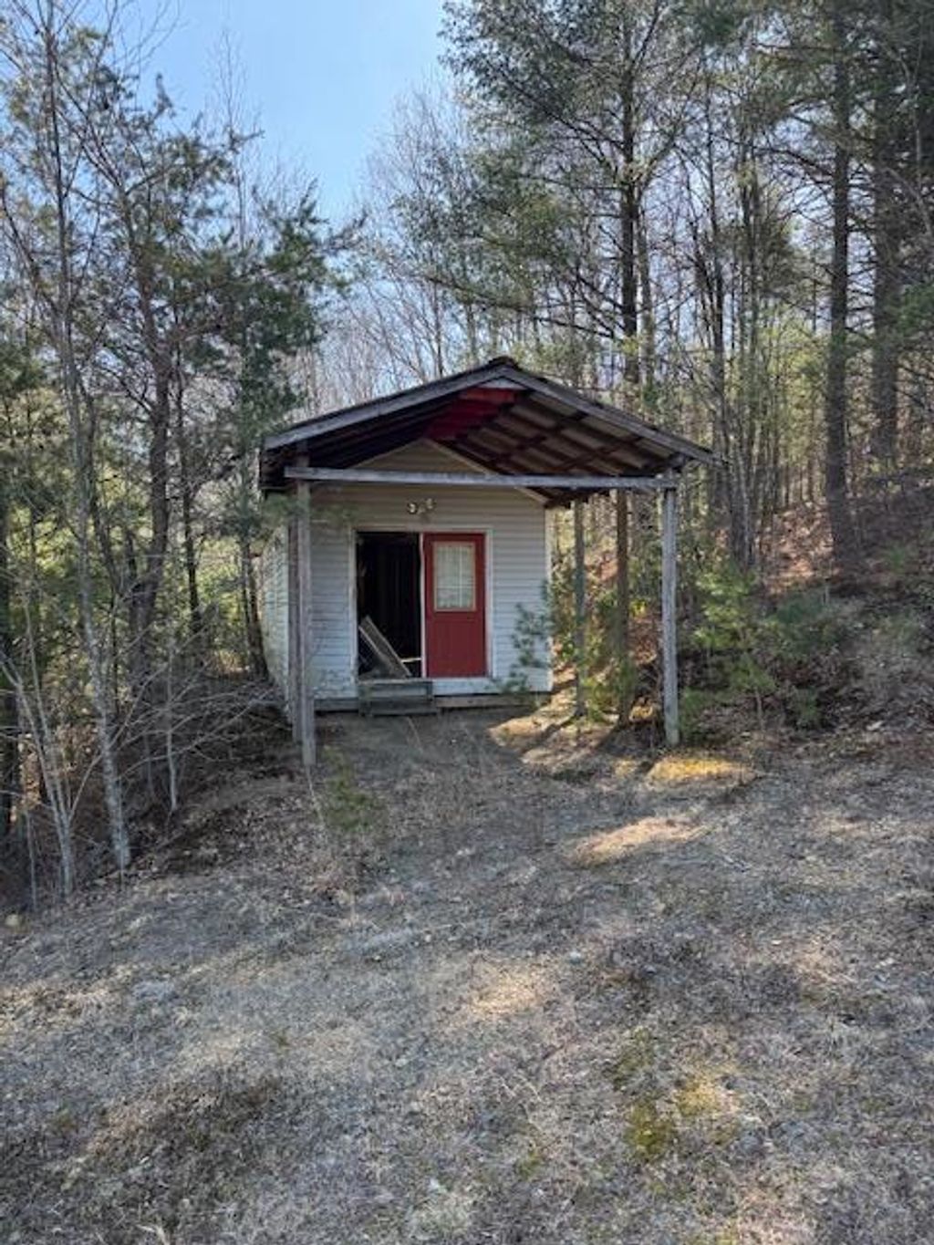 Photo of 875 Frog Spur Rd #NA, Fancy Gap, VA 24328 (MLS # 99116)