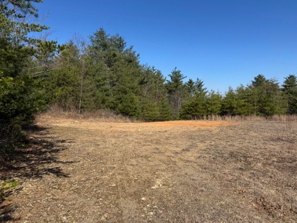 Photo of 875 Frog Spur Rd #NA, Fancy Gap, VA 24328 (MLS # 99116)