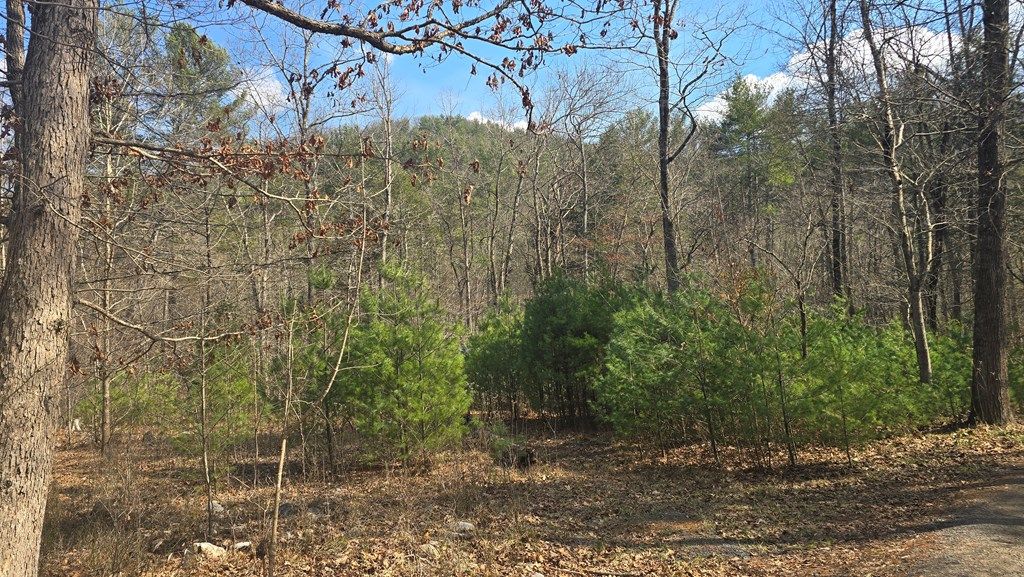 Photo of 2280 Jennings Rd #1, Shawsville, VA 24162 (MLS # 109131)