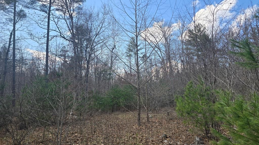 Photo of 2280 Jennings Rd #1, Shawsville, VA 24162 (MLS # 109131)