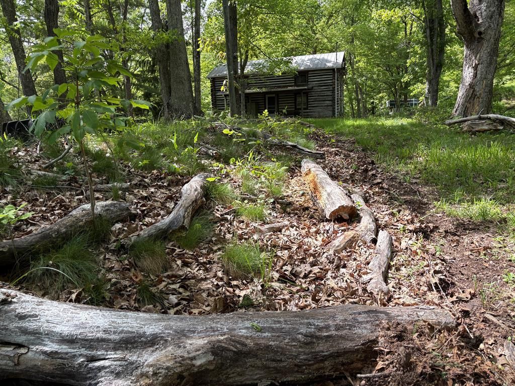 Photo of 307 Shale Bank Road #N/A, Marion, VA 24354 (MLS # 110140)