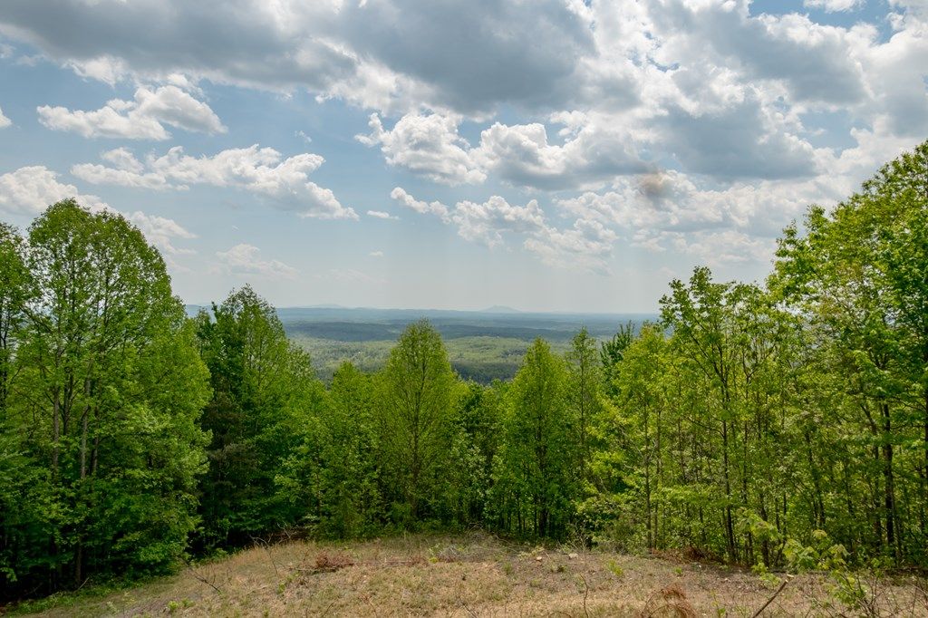 Photo of 2 Spring Valley Rd #4 &amp; 5, Fancy Gap, VA 24328 (MLS # 109800)