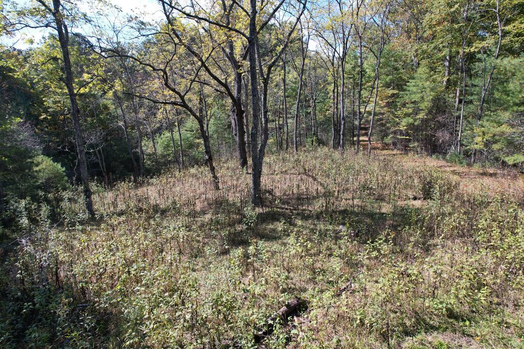 Photo of TBD Byllesby Road #N/A, Ivanhoe, VA 24350 (MLS # 112289)