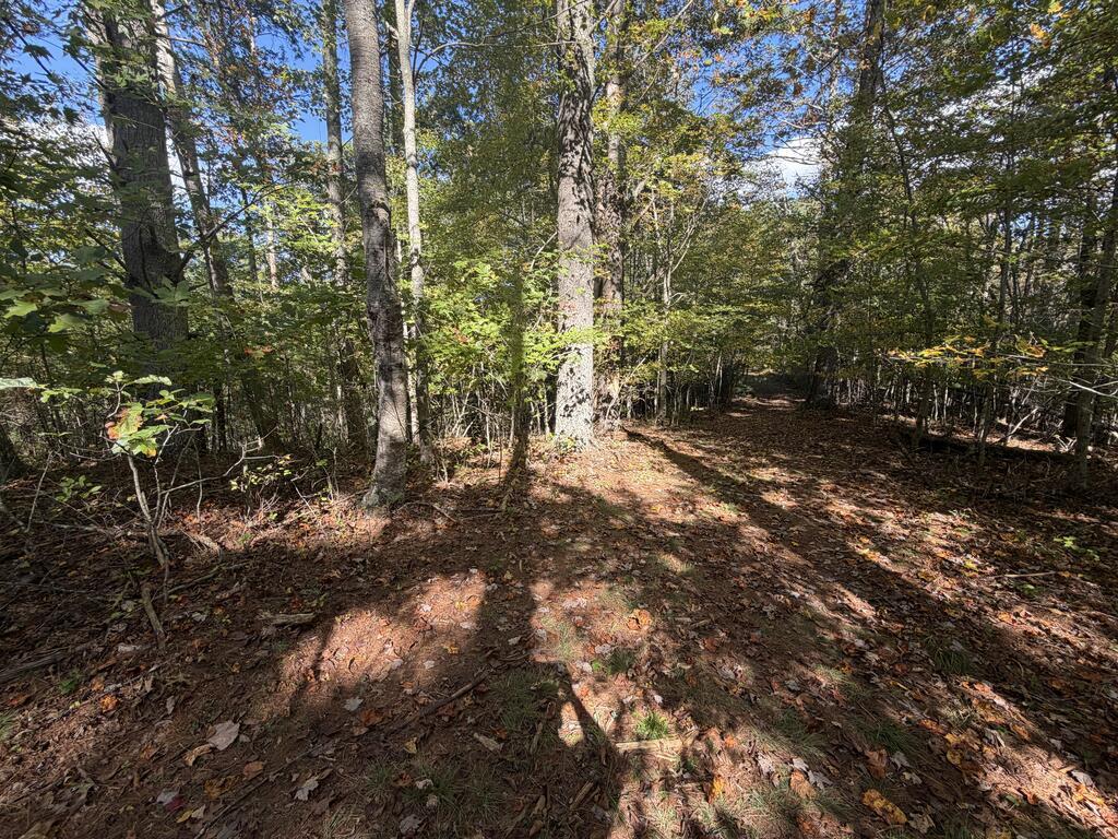 Photo of TBD Byllesby Road #N/A, Ivanhoe, VA 24350 (MLS # 112289)