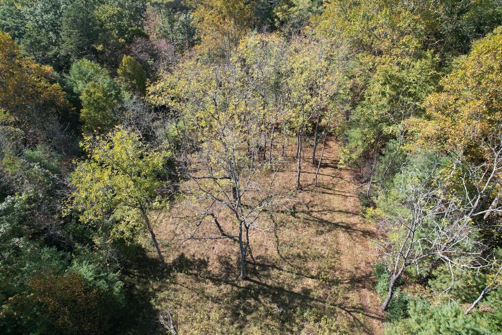 Photo of TBD Byllesby Road #N/A, Ivanhoe, VA 24350 (MLS # 112289)