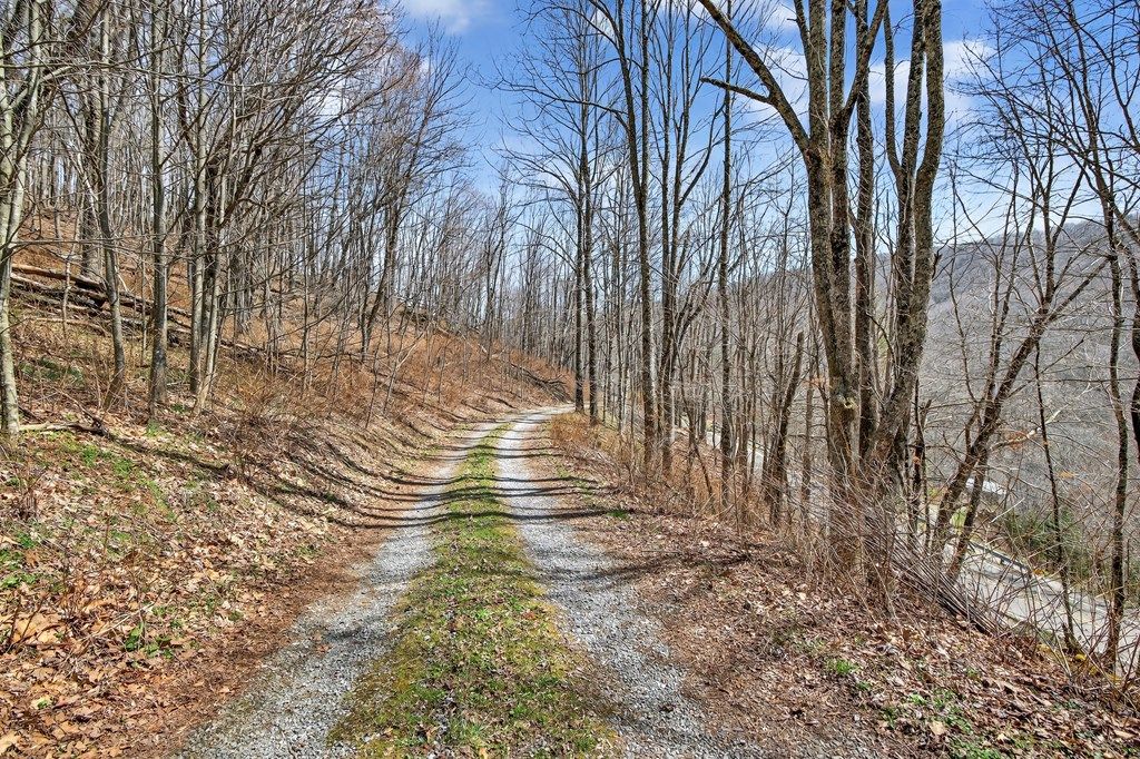 Photo of 9412 Highlands Pkwy, Mouth of Wilson, VA 24363 (MLS # 109220)