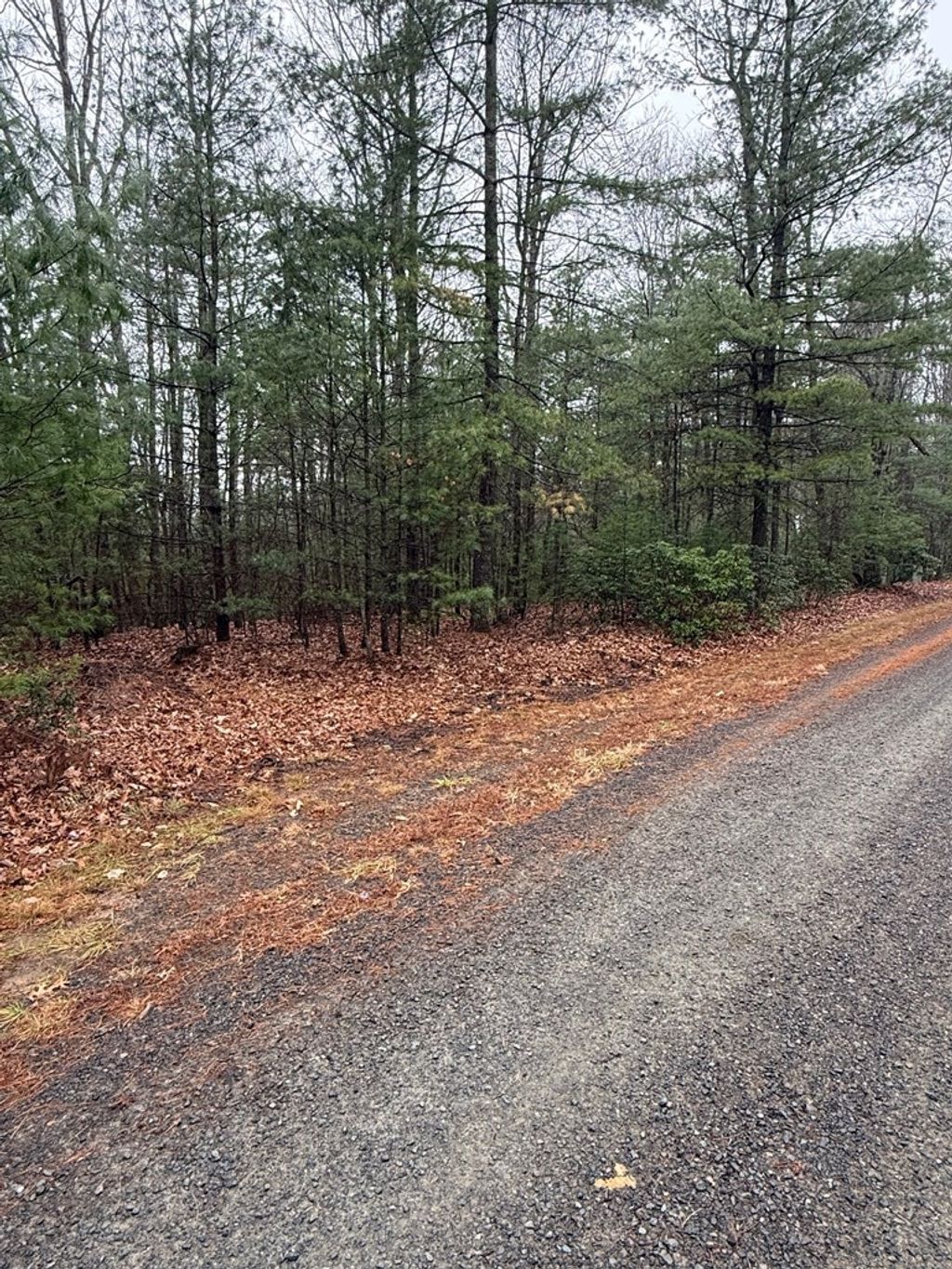 Photo of TBD Forest Green Dr #7, Galax, VA 24333 (MLS # 104246)