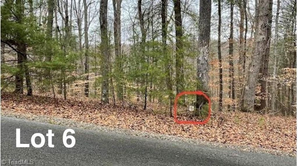 Photo of 6 Woods Haven Lane #6, Stuart, VA 24171 (MLS # 109062)