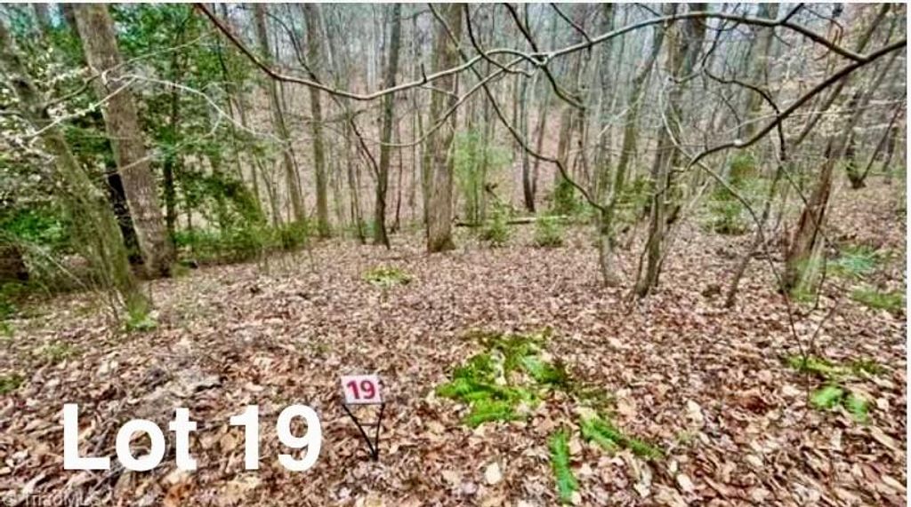 Photo of 19 Woods Haven Lane #19, Stuart, VA 24171 (MLS # 109071)