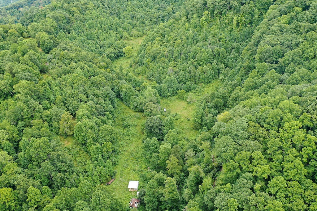 Photo of 67 Bowen Gap Road #67 Acres, Cleveland, VA 24255 (MLS # 111506)