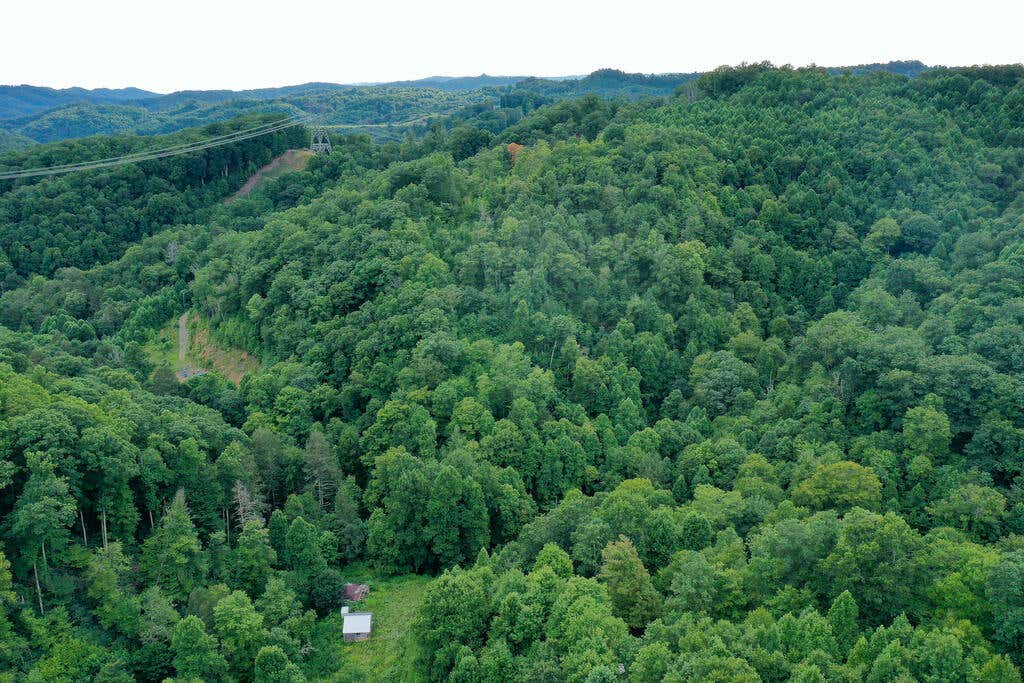 Photo of 67 Bowen Gap Road #67 Acres, Cleveland, VA 24255 (MLS # 111506)