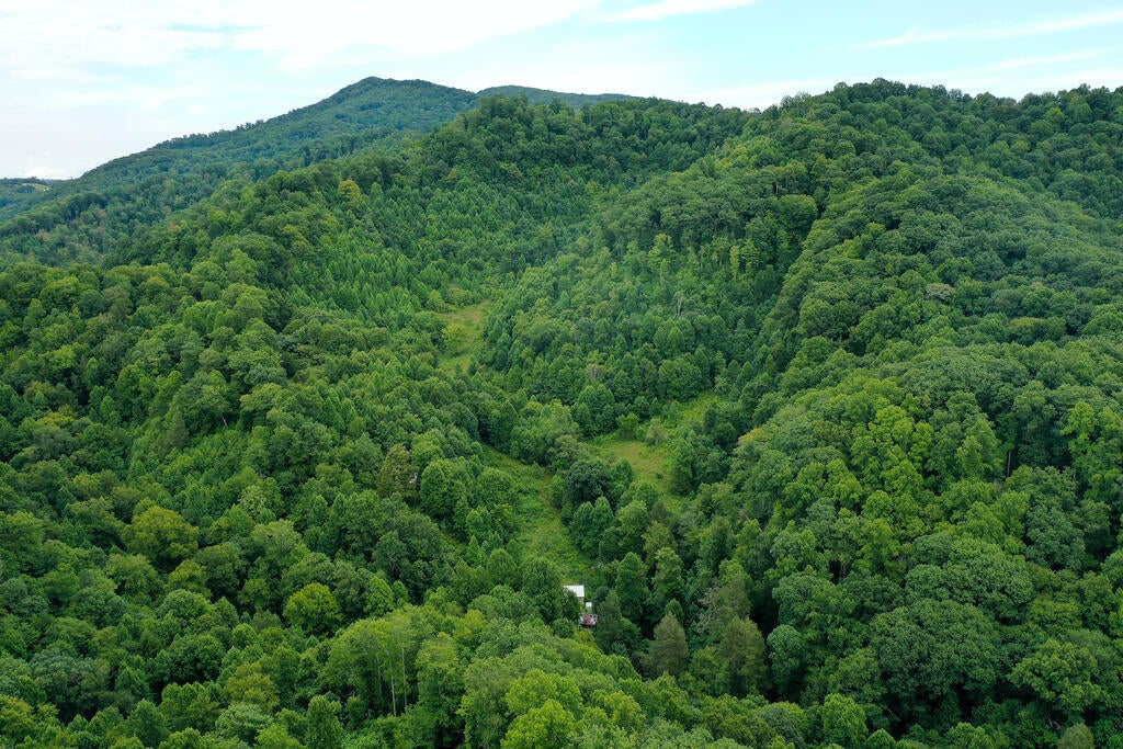 Photo of 67 Bowen Gap Road #67 Acres, Cleveland, VA 24255 (MLS # 111506)