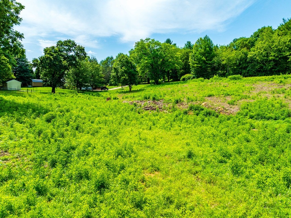 Photo of TBD Althea St #154-25-9, Marion, VA 24354 (MLS # 110990)