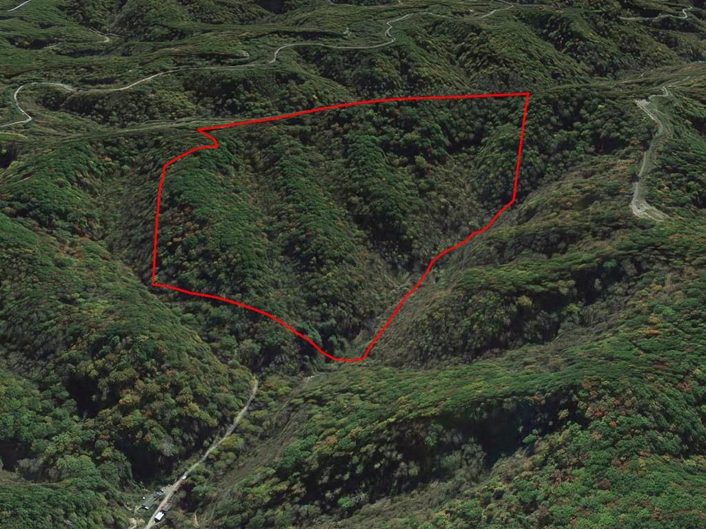 Photo of TBD Osborne Branch Road #NA, Grundy, VA 24614 (MLS # 110257)